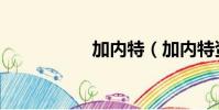 加內特(加內特資料)