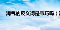 淘氣的反義詞是乖巧嗎(淘氣的反義詞)