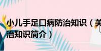 小兒手足口病防治知識(關于小兒手足口病防治知識簡介)