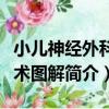 小兒神經外科手術圖解（關于小兒神經外科手術圖解簡介）