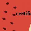 certificate craze on campus