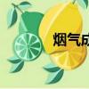 煙氣成分分析儀（煙氣成分）