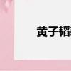 黃子韜怒斥選手（黃子韜敗訴）