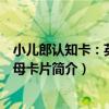 小兒郎認知卡：英語字母卡片（關于小兒郎認知卡：英語字母卡片簡介）