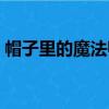 帽子里的魔法師（關于帽子里的魔法師介紹）