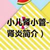 小兒腎小管-間質腎炎（關于小兒腎小管-間質腎炎簡介）