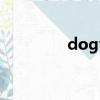dogfighter world war 2