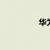 華為c55（華為c5588）