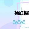 楊紅櫻簡介20字（楊紅櫻簡介）