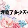 埋藏了多少天心中對你的思念是什么歌的歌詞