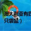 澳大利亞有四千七百萬只袋鼠（澳將消滅百萬只袋鼠）