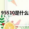 95510是什么電話號碼（95510是什么電話）