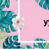 yy掛轉播（yy外掛）
