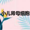 小兒腎母細胞瘤（關于小兒腎母細胞瘤簡介）