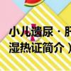 小兒遺尿?肝經濕熱證（關于小兒遺尿?肝經濕熱證簡介）