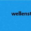 wellensteyn中國（wellensteyn）