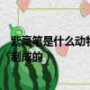 紫毫筆是什么動物毛制成的螞蟻森林（紫毫筆是什么動物毛制成的）