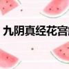 九陰真經花宮解圍攻略（九陰真經花宮解圍）
