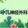 小兒神經外科學（關于小兒神經外科學簡介）