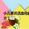 小兒腎炎活血化瘀法研究（關于小兒腎炎活血化瘀法研究簡介）