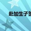 赴加生子簽證要多久（赴加生子簽證）