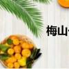 梅山一小校歌（梅山一小）