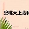碧桃天上栽和露不是凡花樹（碧桃天上栽和露）