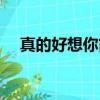 真的好想你簡譜教唱（真的好想你曲譜）