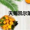 天賜凱爾第二季在線觀看（天賜凱爾）