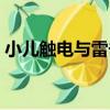 小兒觸電與雷擊（關于小兒觸電與雷擊簡介）