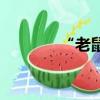 “老鼠倉”（什么叫老鼠倉）