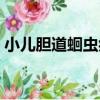 小兒膽道蛔蟲癥（關于小兒膽道蛔蟲癥簡介）