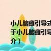 小兒腦癱引導式教育療法在中國標準化研究和推廣應用（關于小兒腦癱引導式教育療法在中國標準化研究和推廣應用簡介）