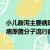 小兒腹瀉主要病原菌分子流行病學研究（關于小兒腹瀉主要病原菌分子流行病學研究簡介）