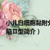 小兒白細胞黏附分子缺陷Ⅱ型（關于小兒白細胞黏附分子缺陷Ⅱ型簡介）