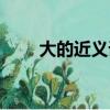 大的近義詞和反義詞（大的近義詞）
