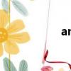 angstrom（angst）
