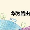 華為路由A1說明書（華為路由 a1）