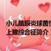 小兒腦膜炎球菌性腎上腺綜合征（關于小兒腦膜炎球菌性腎上腺綜合征簡介）