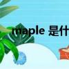 maple 是什么意思（maple是什么意思）