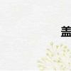 蓋世神醫（蓋世ace）