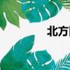 北方網客戶端（北方互動）