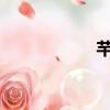 芊芊是千金（qqsq）