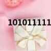 101011111（1.11111111111111e17）