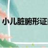 小兒臟腑形證門（關于小兒臟腑形證門簡介）