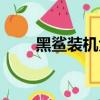 黑鯊裝機大師官網（黑鯊裝機大師）