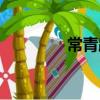常青路（關于常青路介紹）
