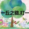 一丘之貉,打一生肖（一丘之貉打一最佳生肖）