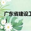 廣東省建設工程信息網官網（廣東工程信息網）