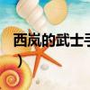 西嵐的武士手套領主塔（dnf西嵐的武士手套）